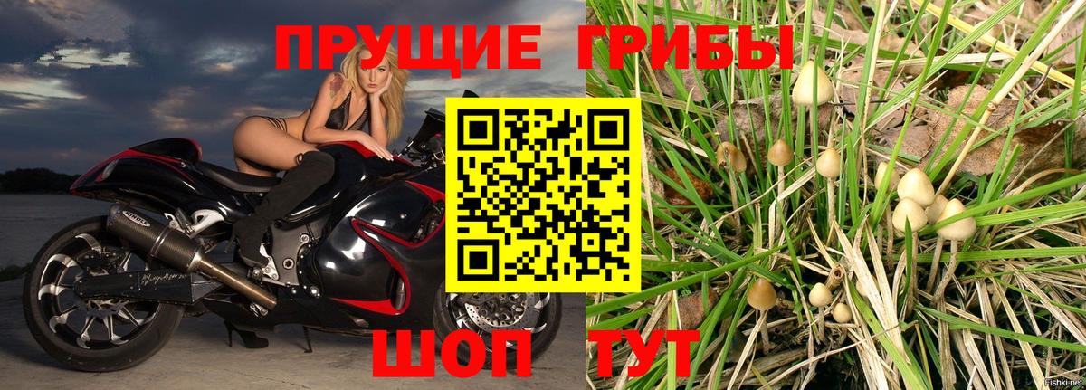 Галлюциногенные грибы Magic Shrooms  Вход с VPN  Псилоцибиновые грибы прущие грибы  Симферополь 